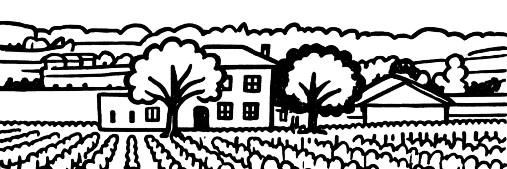 Illustration au trait de rangs de vigne et d'un chai en pierre, évoquant le vignoble bordelais autour de Blaye